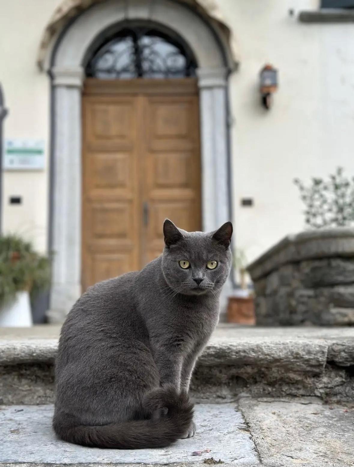 B&B La Dolce Casa Lago Di Como Cremia Εξωτερικό φωτογραφία